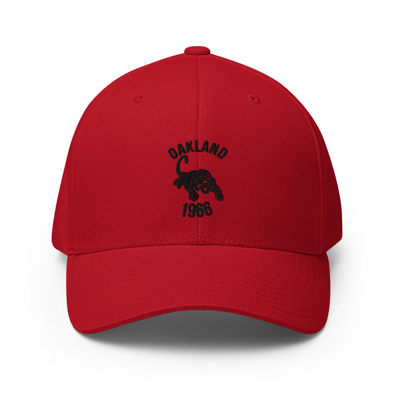 black-panther-party-hat