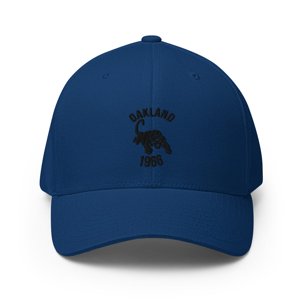 black-panther-party-hat